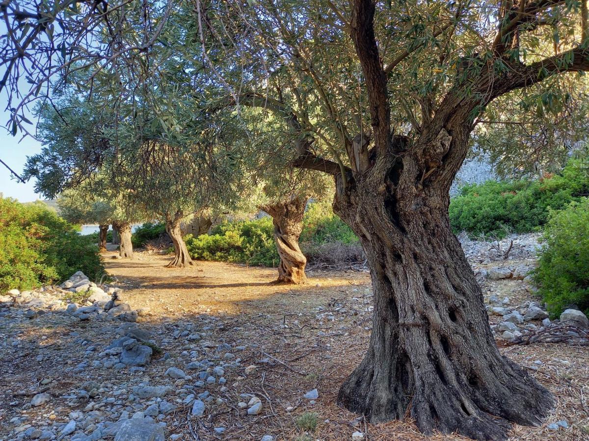 Chelidonia Villa Steni Vala Alonissos Exterior foto